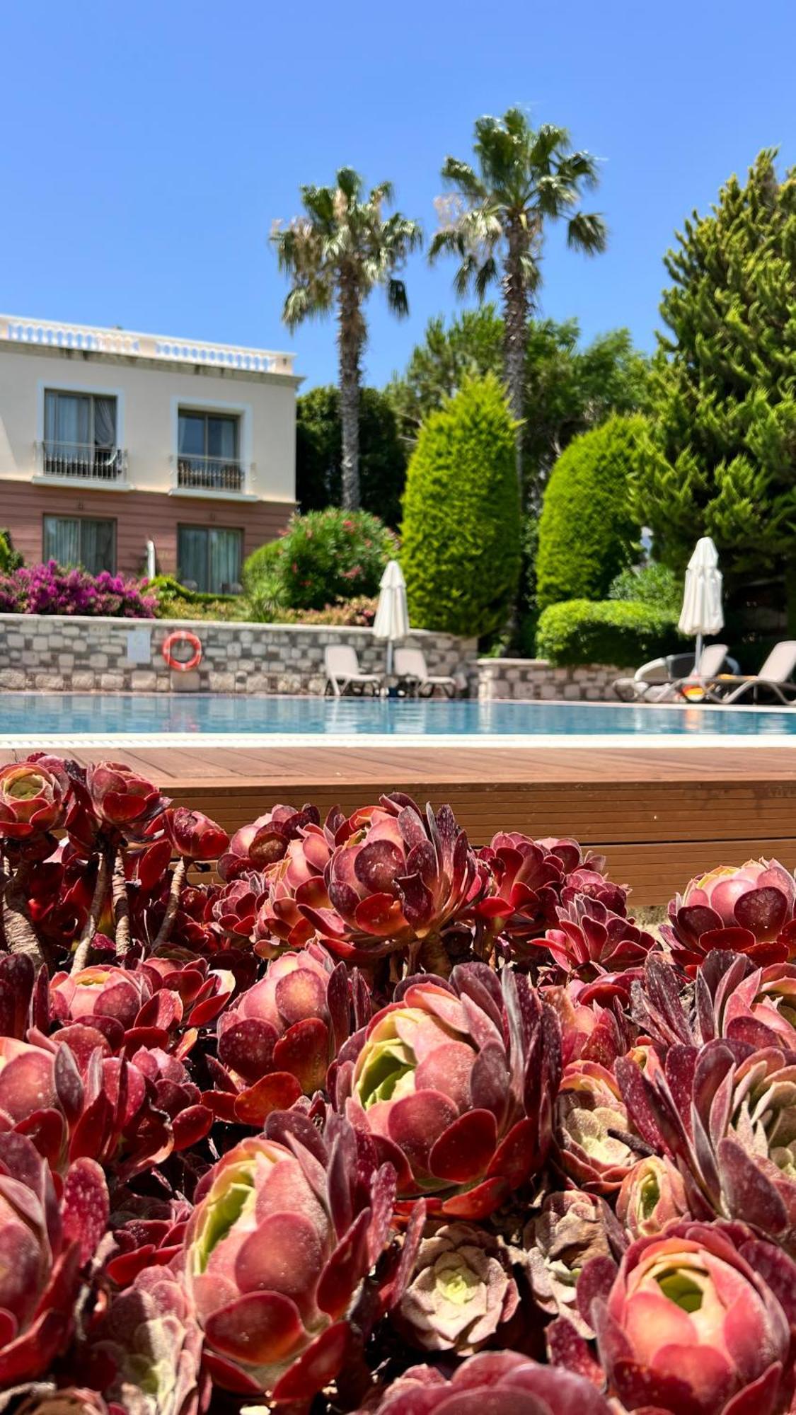 Antmare Hotel Αλακάτι Εξωτερικό φωτογραφία